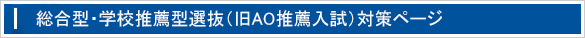 総合型選抜・学校推薦型選抜小論文