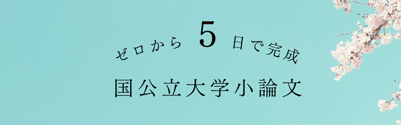 国公立大学二次試験対策