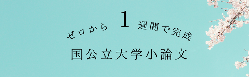 国公立大学直前対策｜小論文.comの国公立大学対策